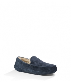 Mens Ascot - Suede Navy 5775
